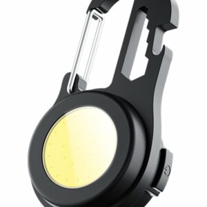 Multifunctional portable light
